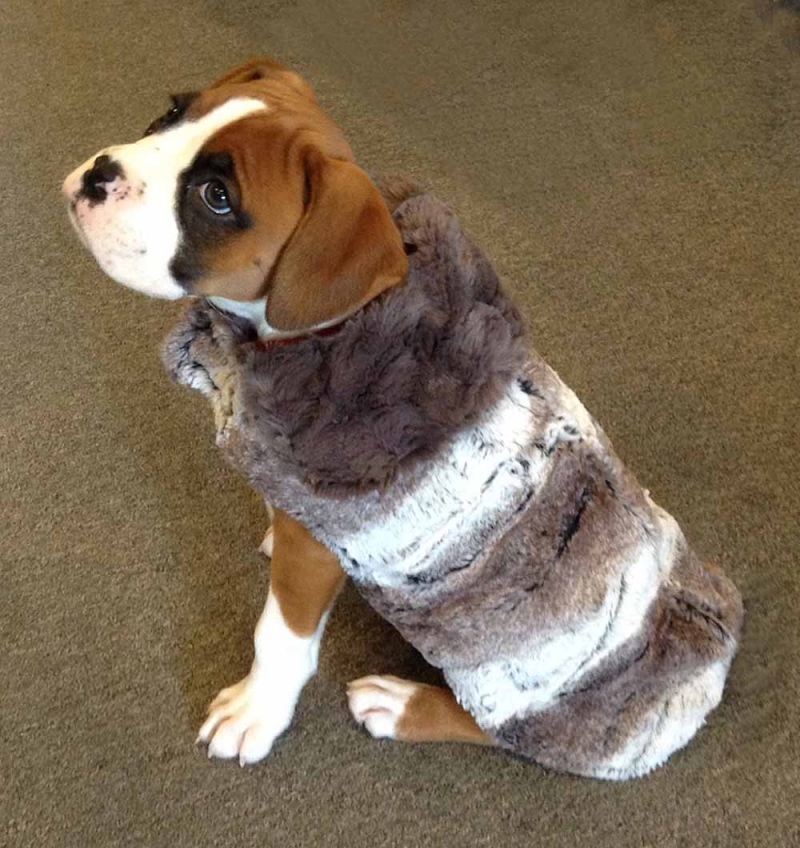 Faux Fur Dog Coat in Birch and Grey